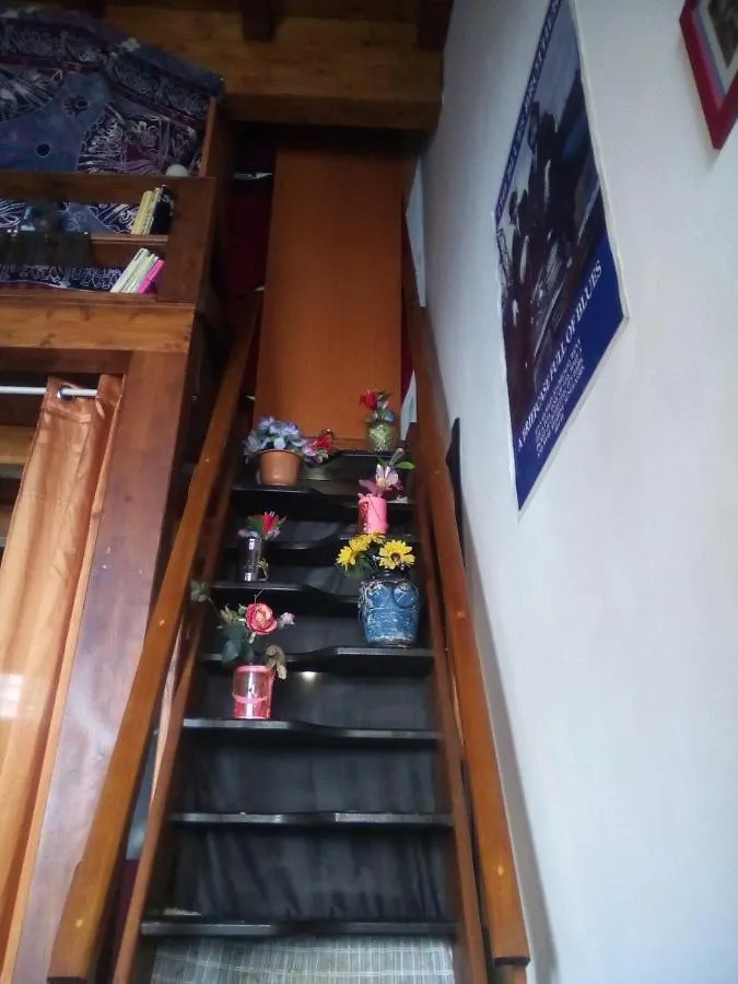 Click Center Apartment カターニア